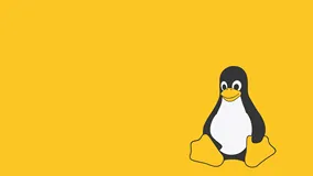 如何在 Linux 中将多个 IP 分配给单个网络接口