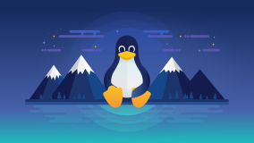 2024 Linux  8 ѿԴ̿¡ͱݹߣһû