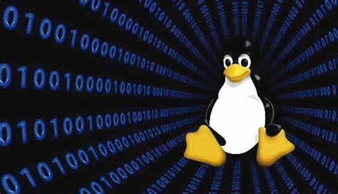 如何在 Linux 中向现有文件添加文本?