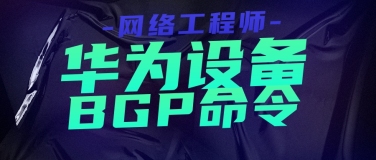 网络工程师：BGP命令大全