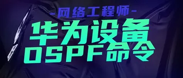 网络工程师：OSPF命令大全