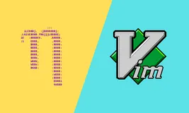 Nano 或 Vim：哪个是 Linux 上更好的文本编辑器？