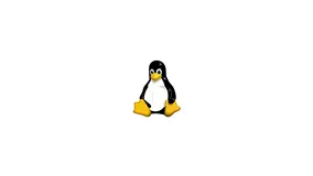 3分钟带你了解Linux 中的 umount 命令