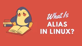 如何在 Linux 中创建别名并使用别名命令？
