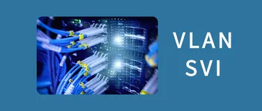 同样都可以网络分段和流量管理，VLAN 和 SVI 到底有啥区别？