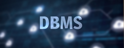 DBMS 中存在哪些不同的语言？