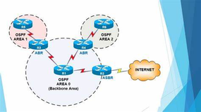 OSPF 的主要目的是什么？