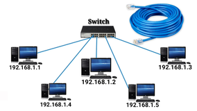 使用的 LAN 电缆类型有哪些？