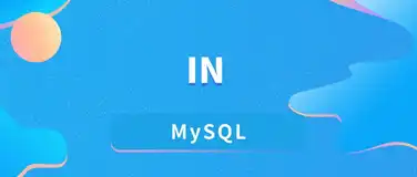 在 MySQL 中使用 IN