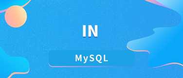 在 MySQL 中使用 IN