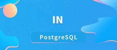 在 PostgreSQL 中使用 IN