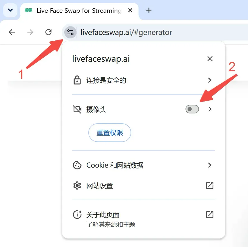 Chrome 网站控制面板中的摄像头权限排查入口